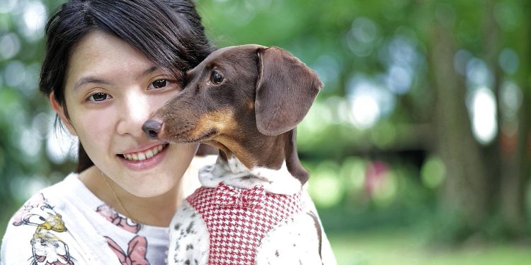 Pint-sized Paws: Fashionable Threads for Petite Pups