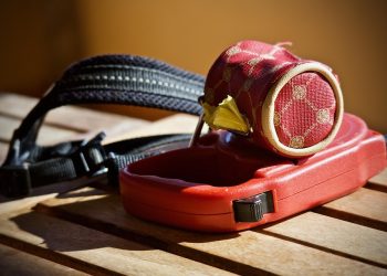 Revolutionize Your Dog’s Walks with the Ultimate Dog Bike Leash!