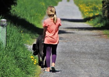 Pint-sized Pup Fashion: Stylish Outfits for Petite Pooches