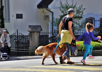 The Ultimate Guide to Finding the Perfect Coat for Your Pup: Keeping Your Dog Warm and Stylish