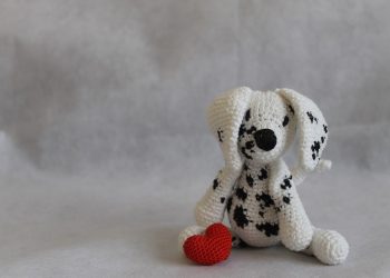 Fetch Fun: The Best Dog Water Toys for Endless Summer Entertainment